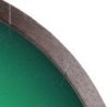 Diamentowa tarcza tnąca 1A1R 250 Granite Premium